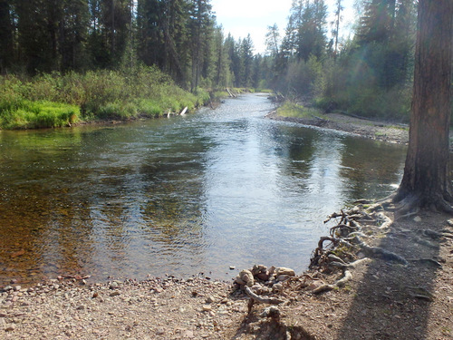 GDMBR: The Swan River borders the Campground.